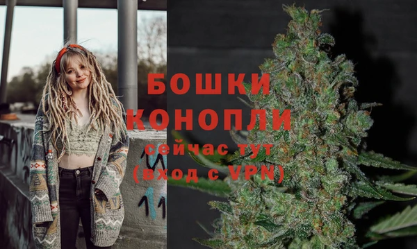 мескалин Надым