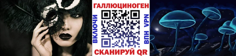 Галлюциногенные грибы Psilocybine cubensis  купить закладку  Петушки 